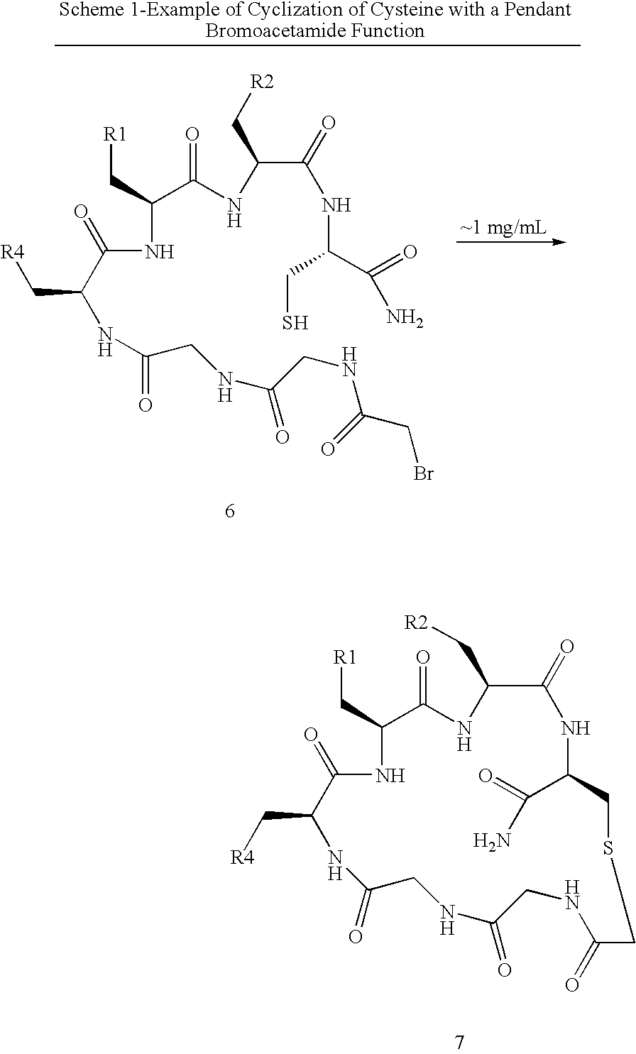 Methods for preparing multivalent constructs for therapeutic and diagnostic applications and methods of preparing the same