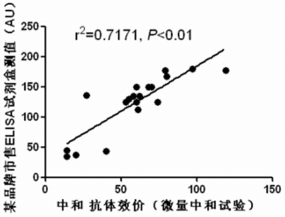 Preparation method of recombinant protein IE1-coated ELISA (Enzyme linked immune sorbent assay) reaction plate and assay kit for quantitatively detecting HCMV (human cytomegalovirus) neutralized antibody in human plasma