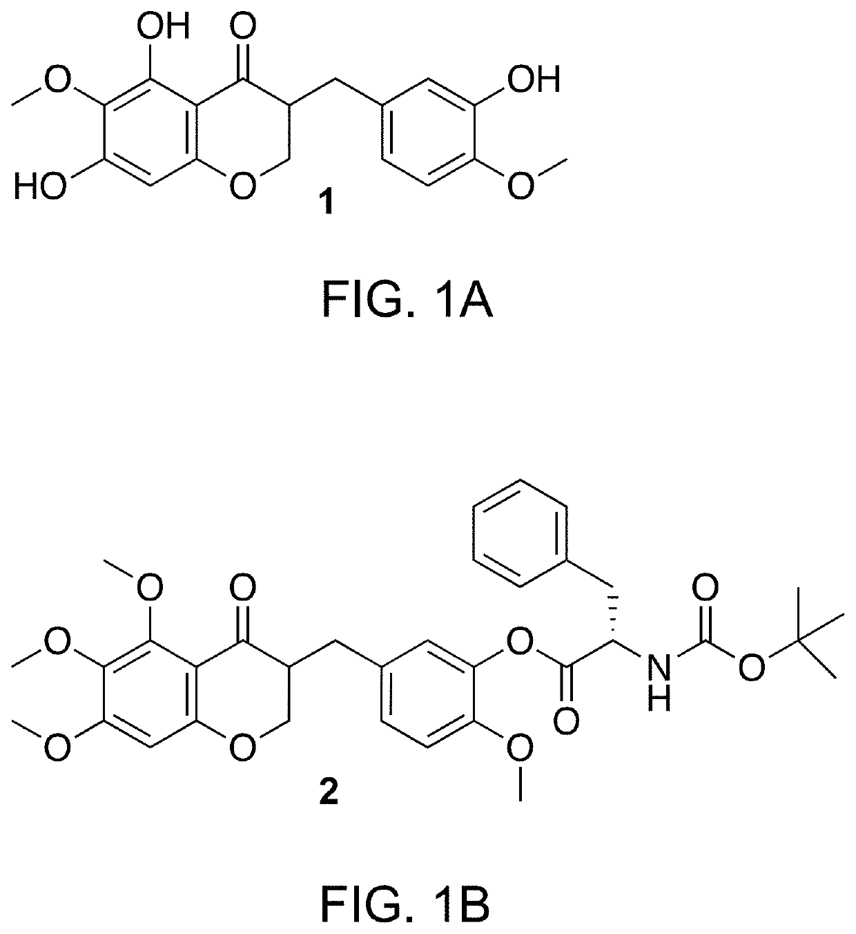 Composition for blocking angiogenesis