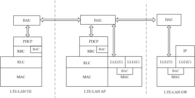 Wireless network access system