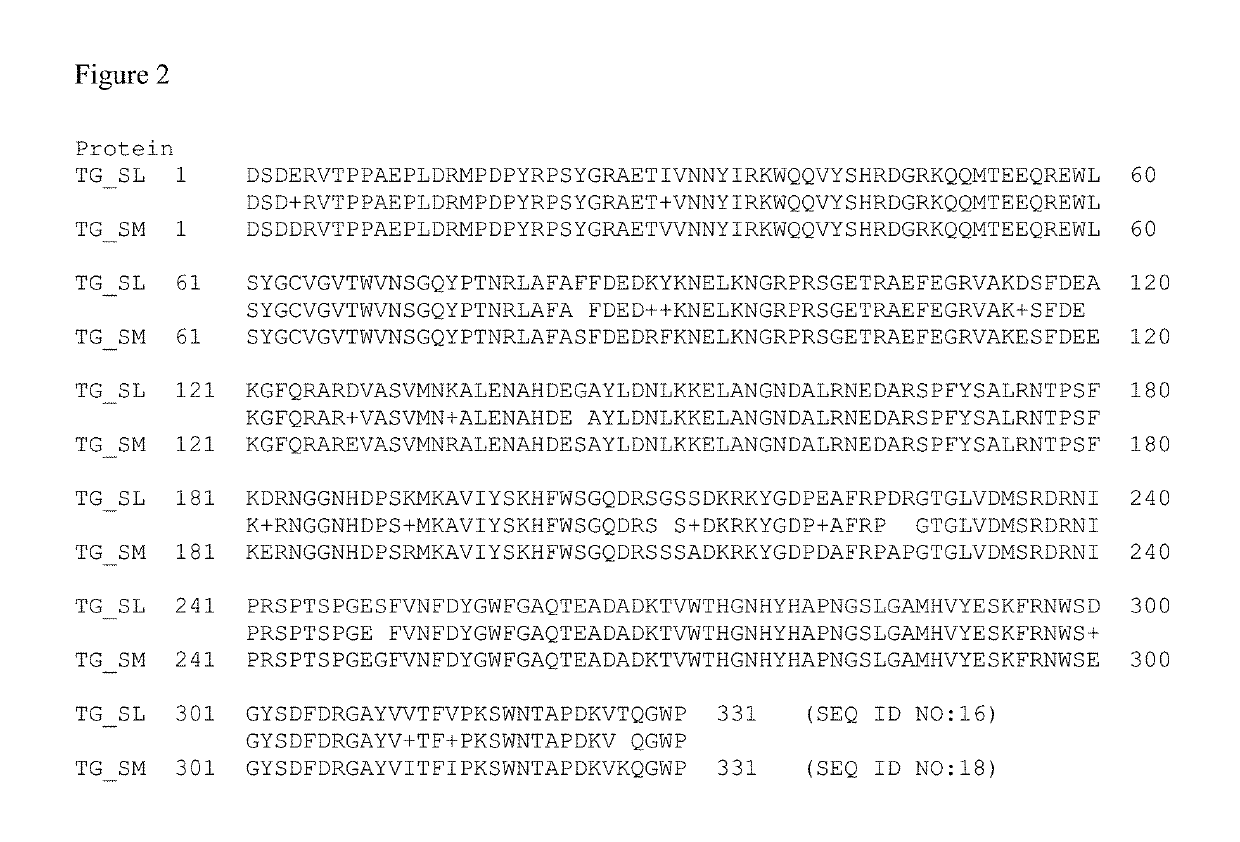 Homogenous antibody drug conjugates via enzymatic methods