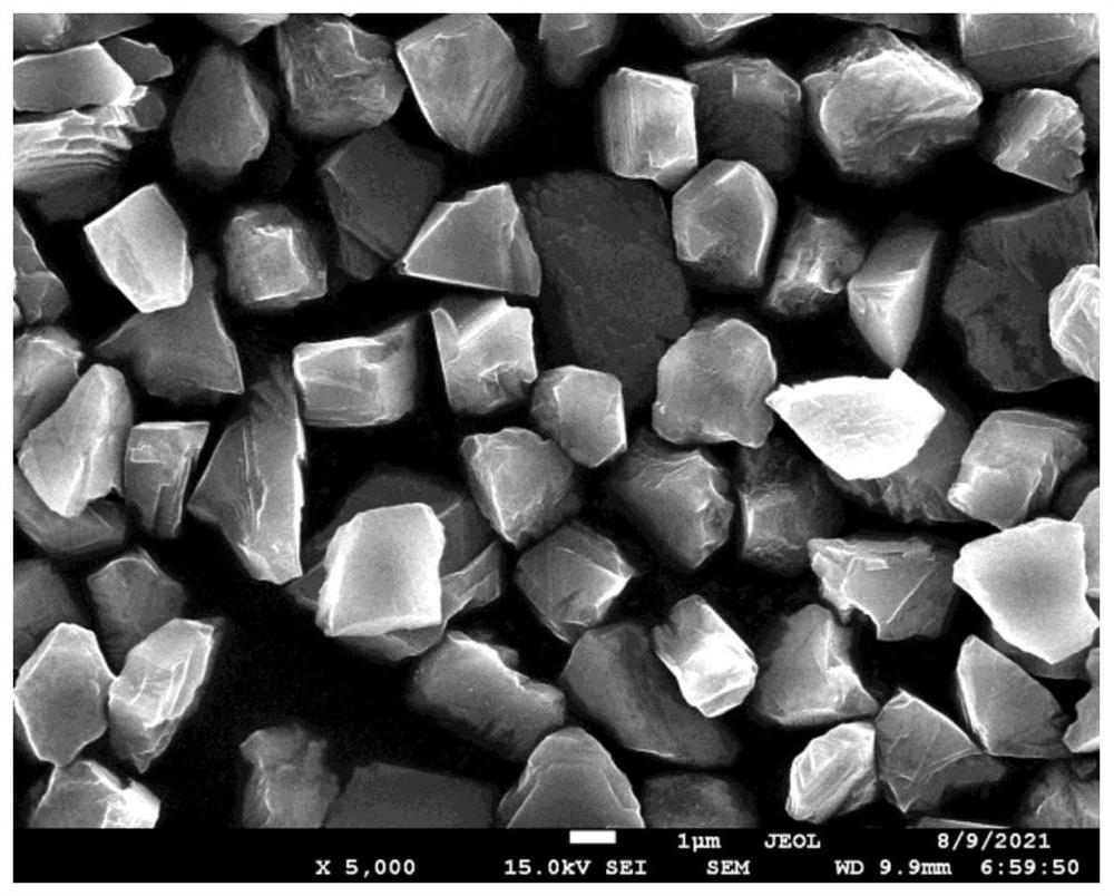 Diamond abrasive and preparation method thereof