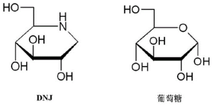 Method for isolating dnj and preparing dnj nanosuspension