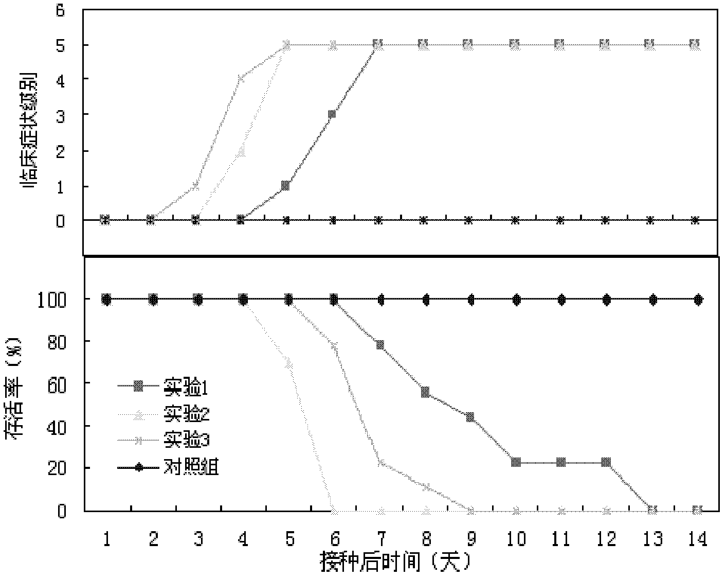 Method and kit for establishing ca16 virus infection animal model