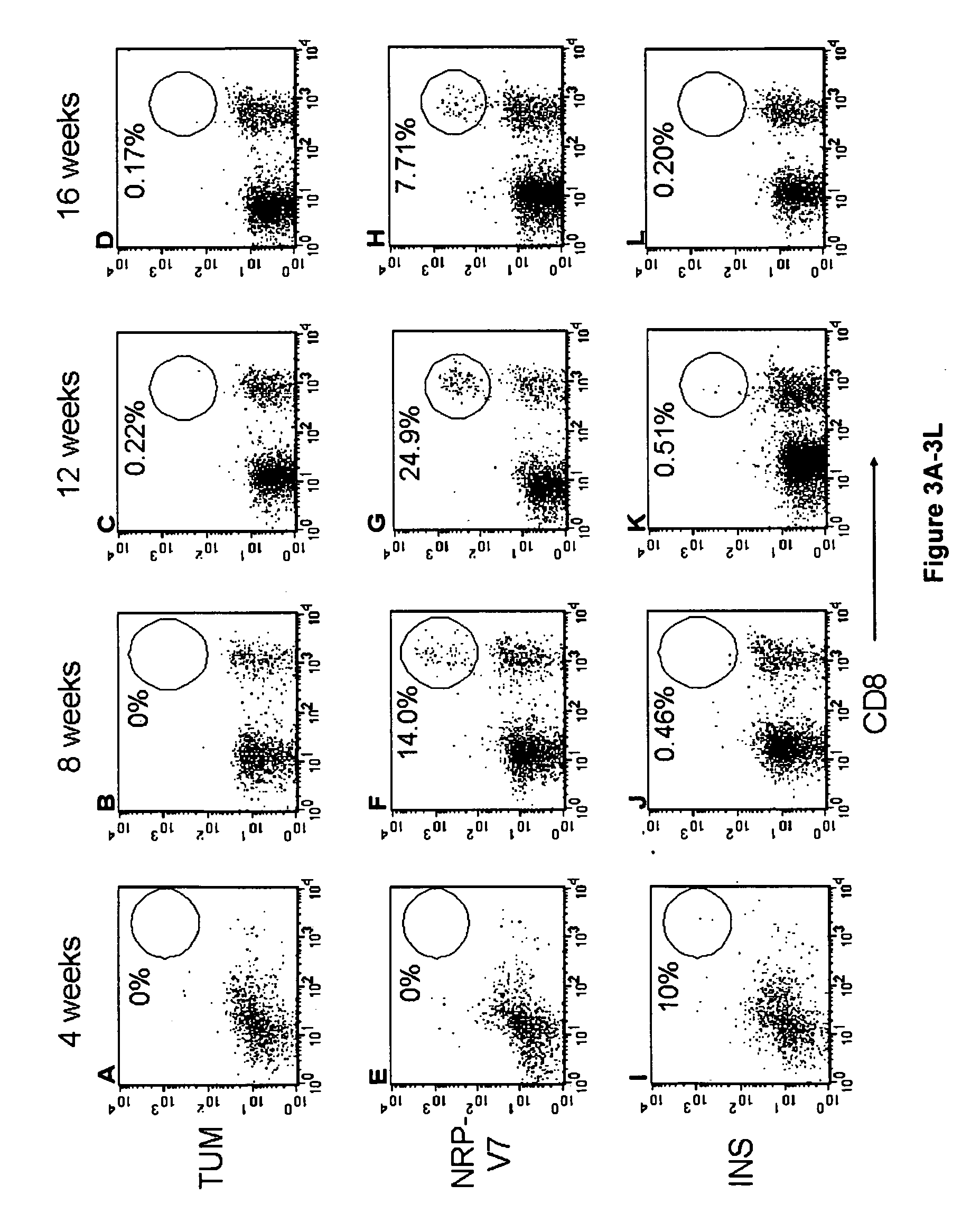 Insulin epitopes for the treatment of type 1 diabetes