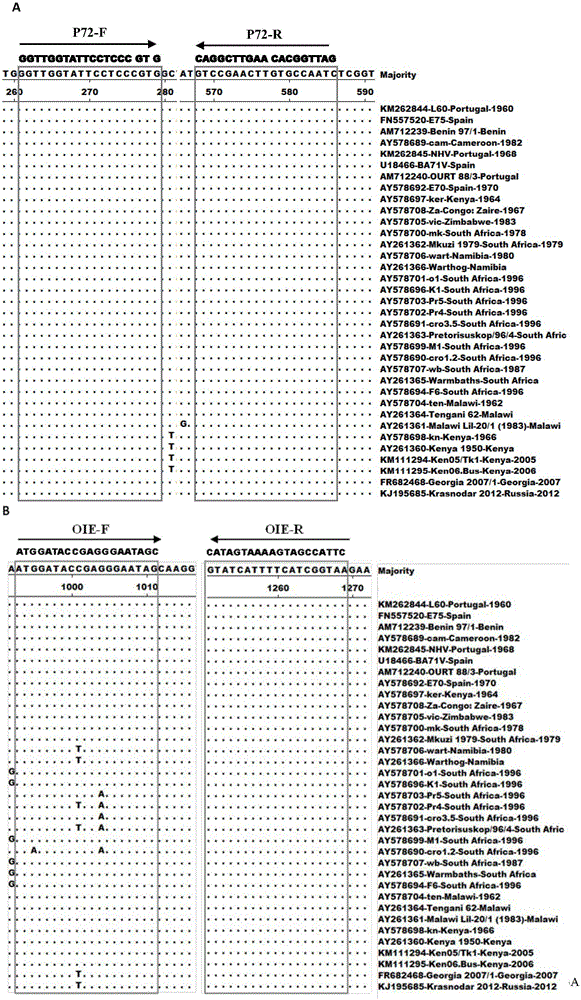 PCR primer for detecting African swine fever virus, kit and application thereof