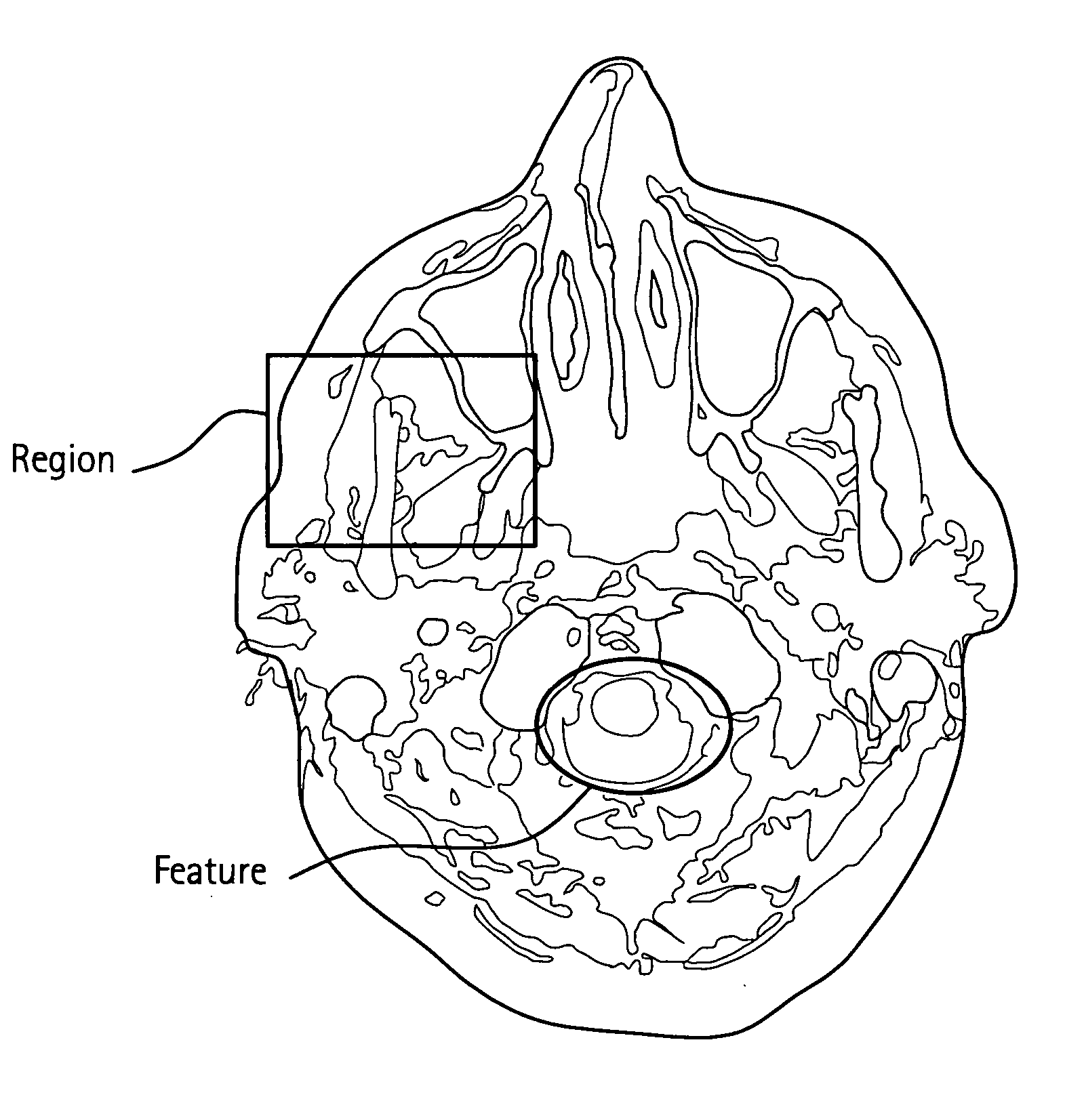 Method and system for structuring dynamic data