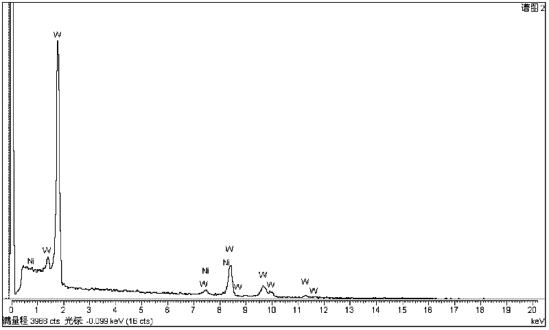 Method for preparing Ni-W alloy by vacuum sintering