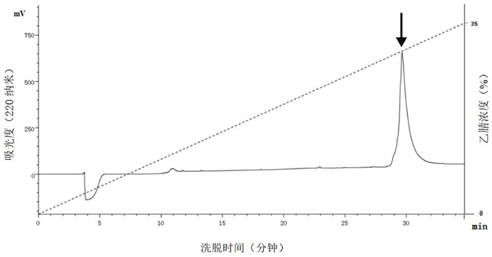 A kind of scorpion toxin active polypeptide hstx1 with improving cerebral ischemia and hypoxia and its preparation method and application