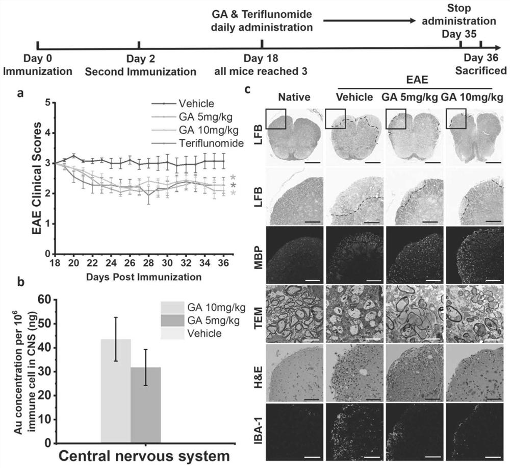 Application of gold complex in preparation of medicine for preventing and/or treating multiple sclerosis