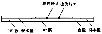 Method for detecting fertility of cows