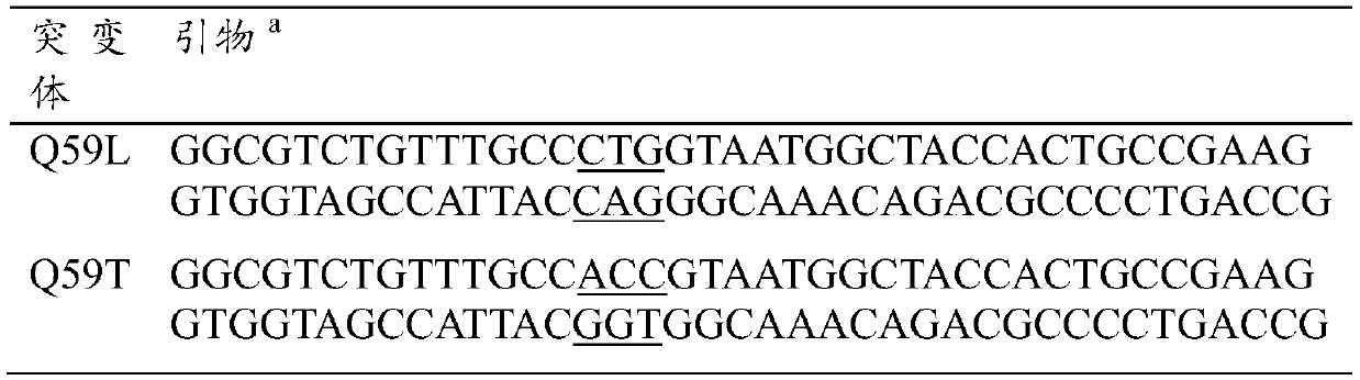 D-fructose-6-phosphate aldolase a mutant, recombinant expression vector, genetically engineered bacteria and its application and reaction products