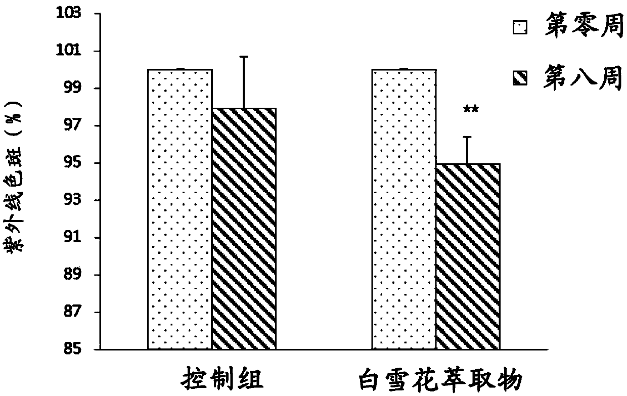 Application of white snowflake extract for skin spot fading and skin wrinkle improvement