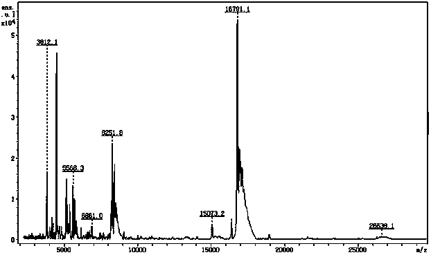 Method for extracting common traditional Chinese medicine from traditional Chinese medicinal materials and authenticating common traditional Chinese medicine through MALDI-TOF-MS