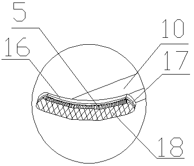 Potato peeling and cutting device for food processing