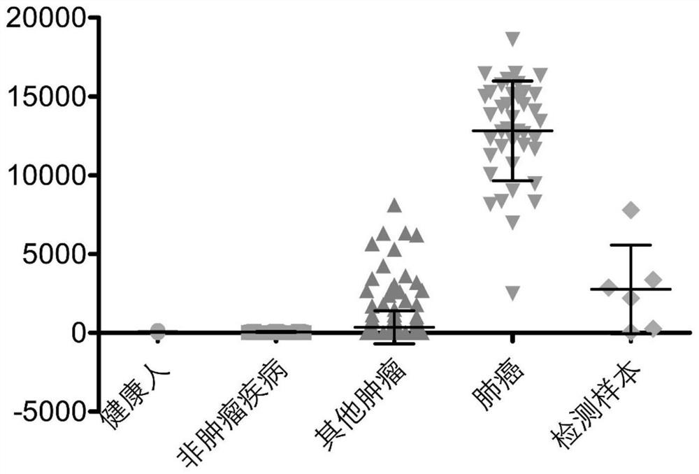 Peripheral blood TCR marker of lung cancer, and detection kit and application thereof