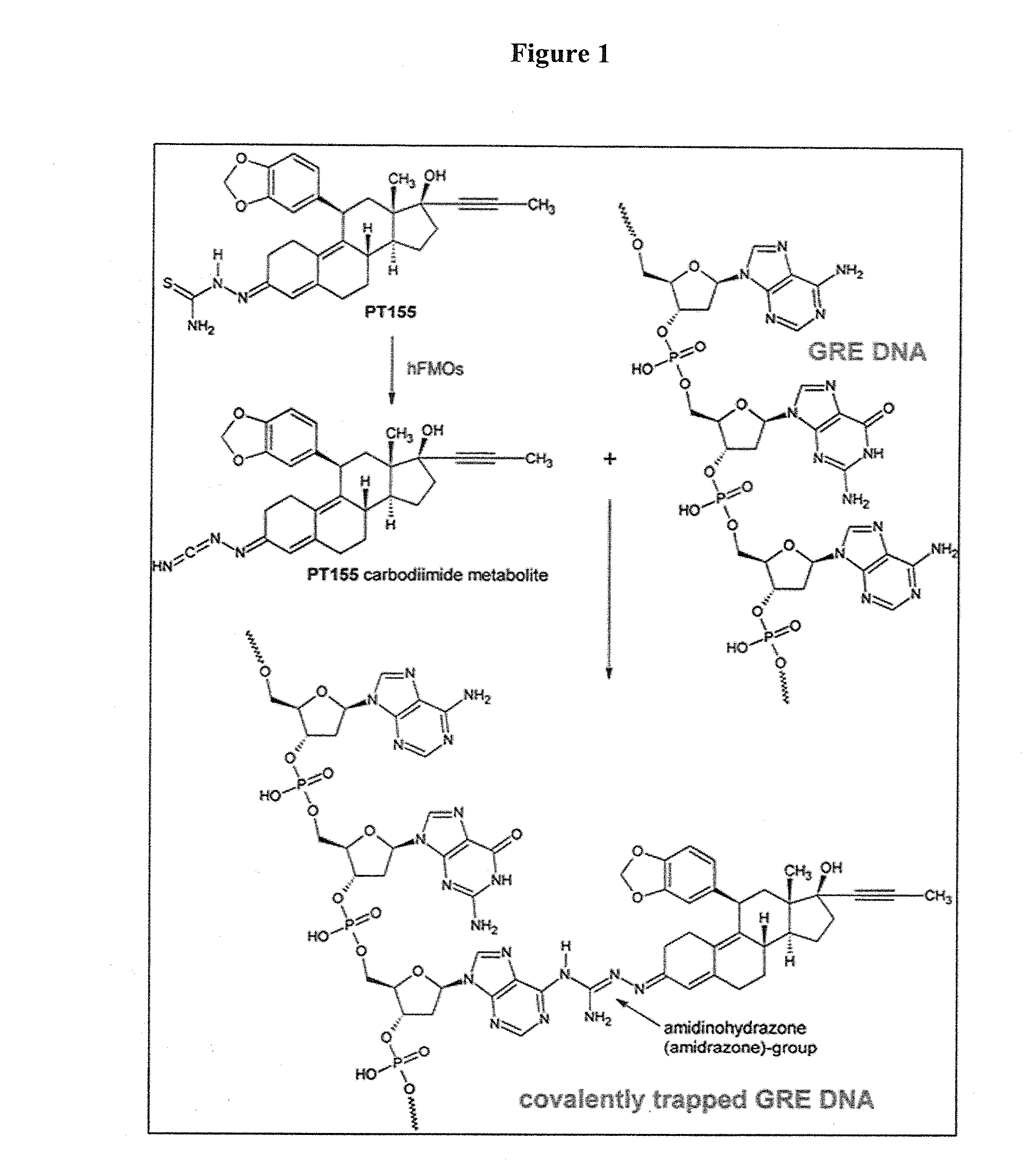 Pharmaceutical compositions and methods