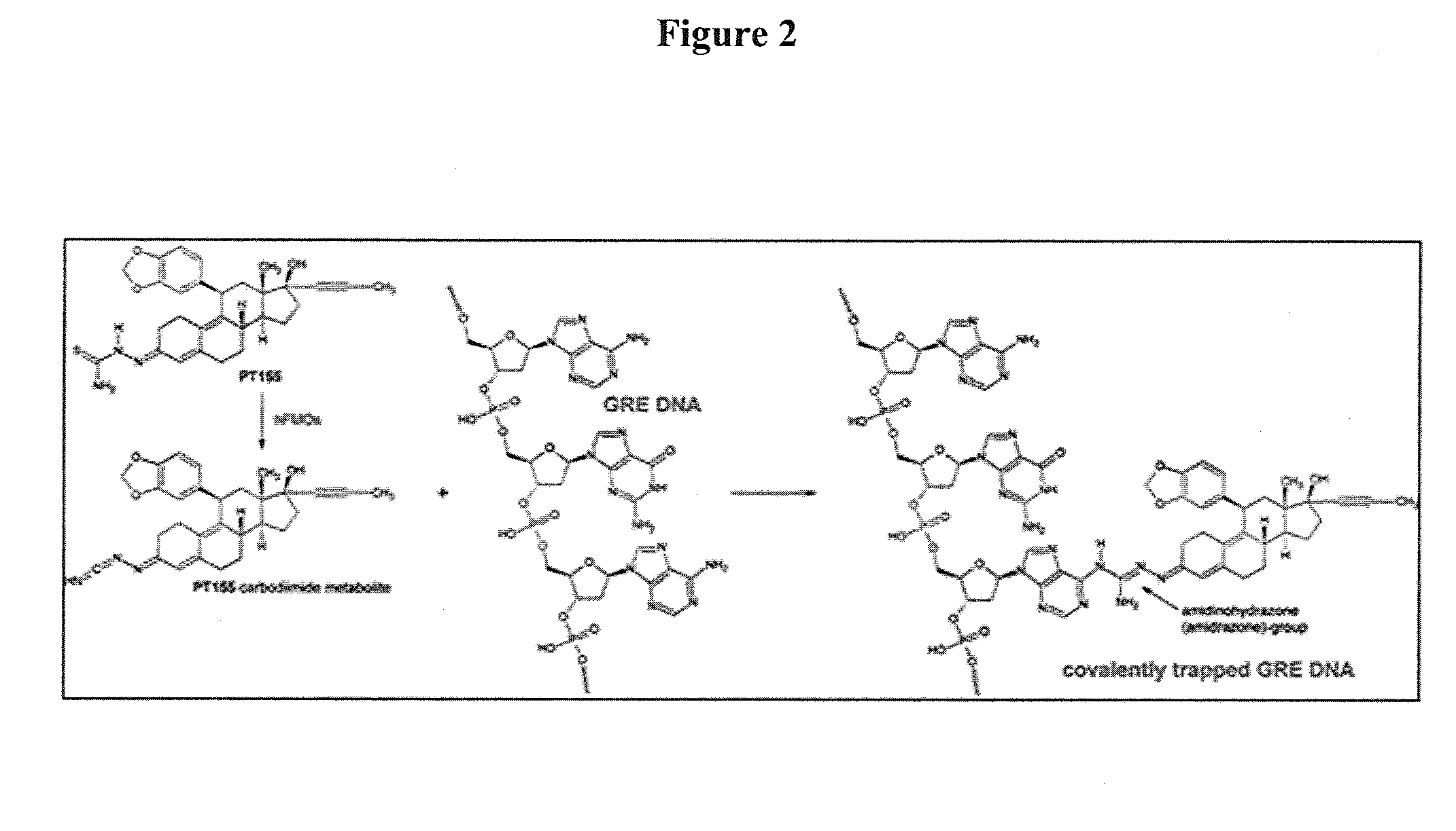 Pharmaceutical compositions and methods