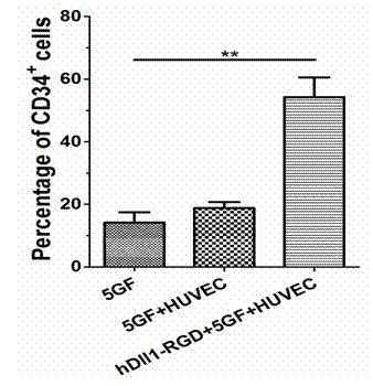 Expansion system in vitro for hematopoietic stem/progenitor cell