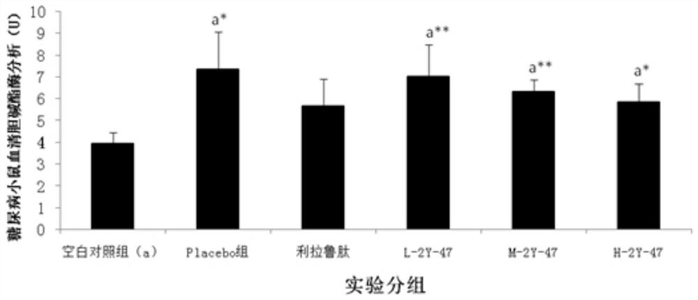 Preparation and application of novel ghrelin-like peptide modification and dimerization