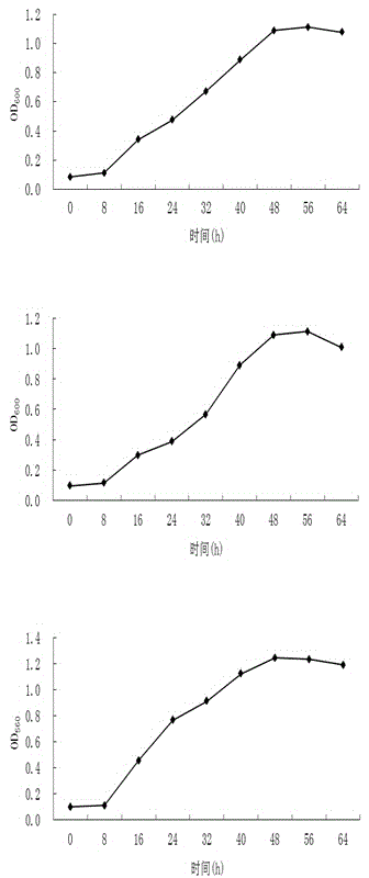 Method for improving protective enzyme activity of grass of water stress lawn by adopting reinforced drought-resistant microbial agent