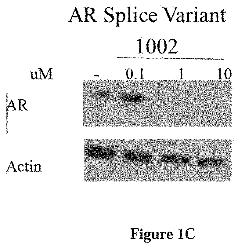 Selective androgen receptor degrader (SARD) ligands and methods of use thereof