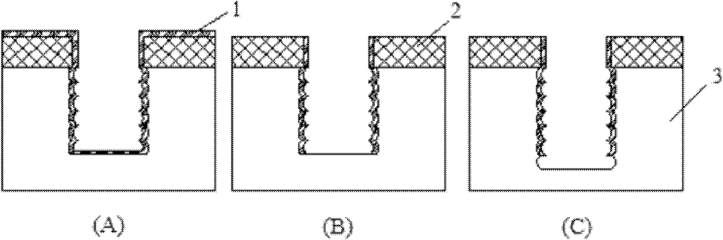 Method for preparing dry adhesive