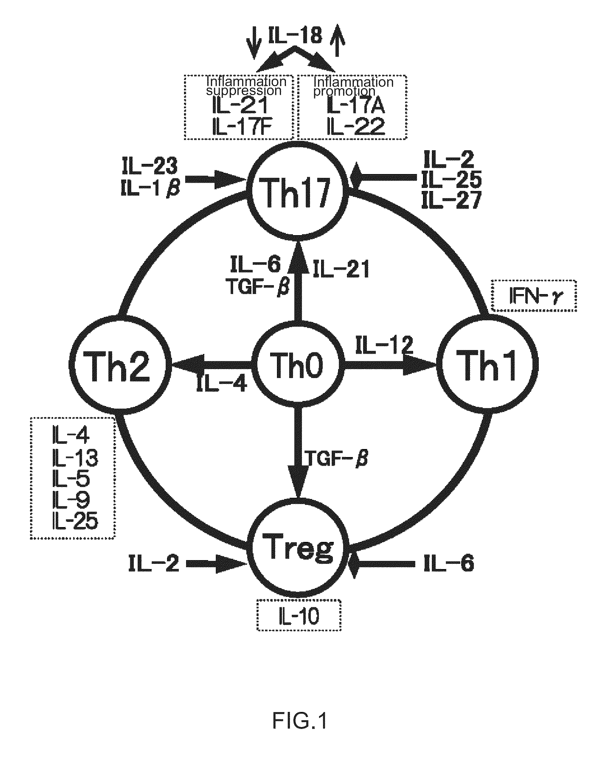 Immunopotentiating composition and process for producing same