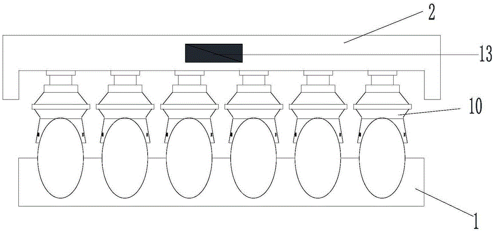 Hatching egg detector and hatching egg screening method