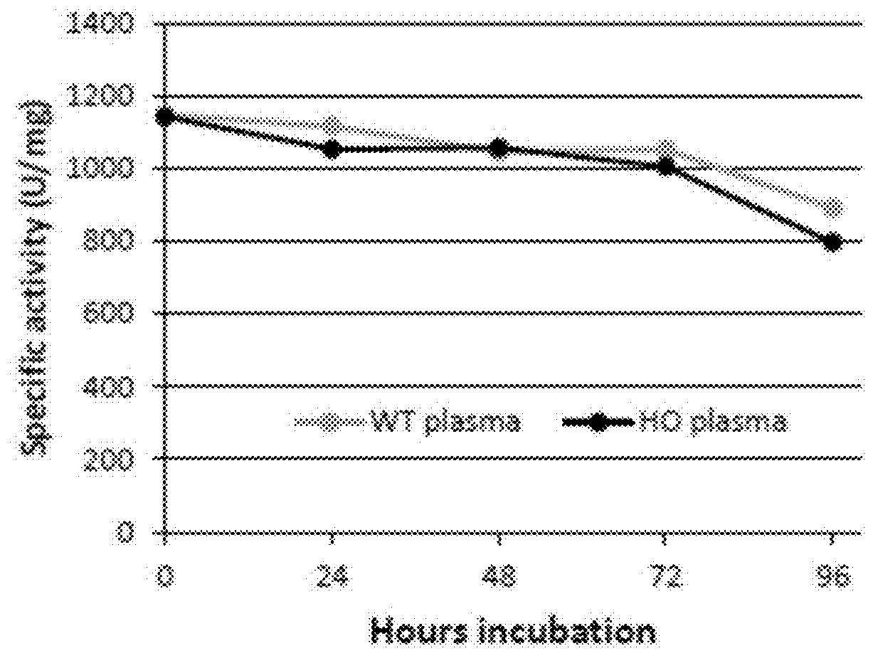 Compositions and methods for treatment of homocystinuria