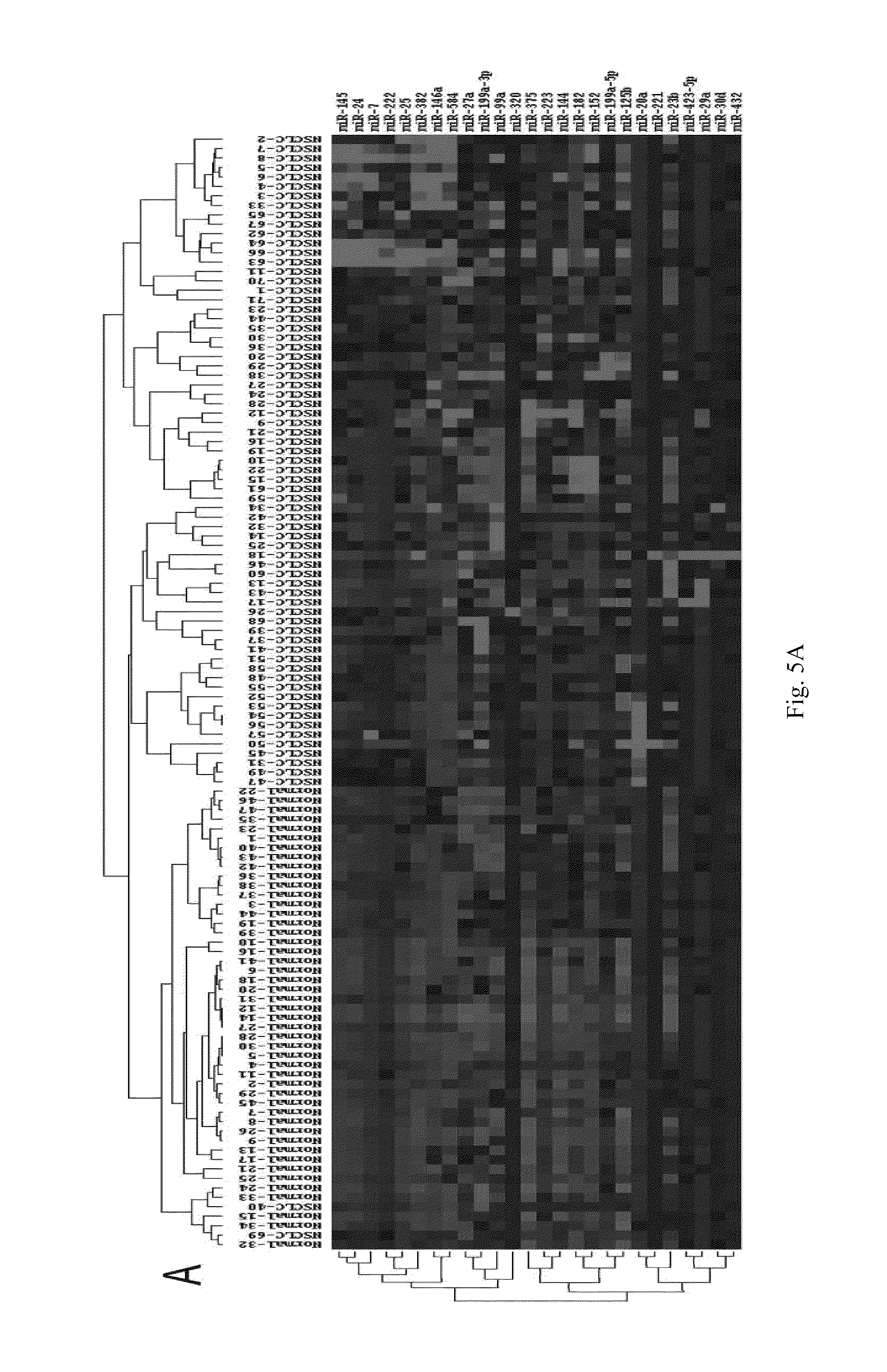 Serum or plasma microRNA as biomarkers for non-small cell lung cancer