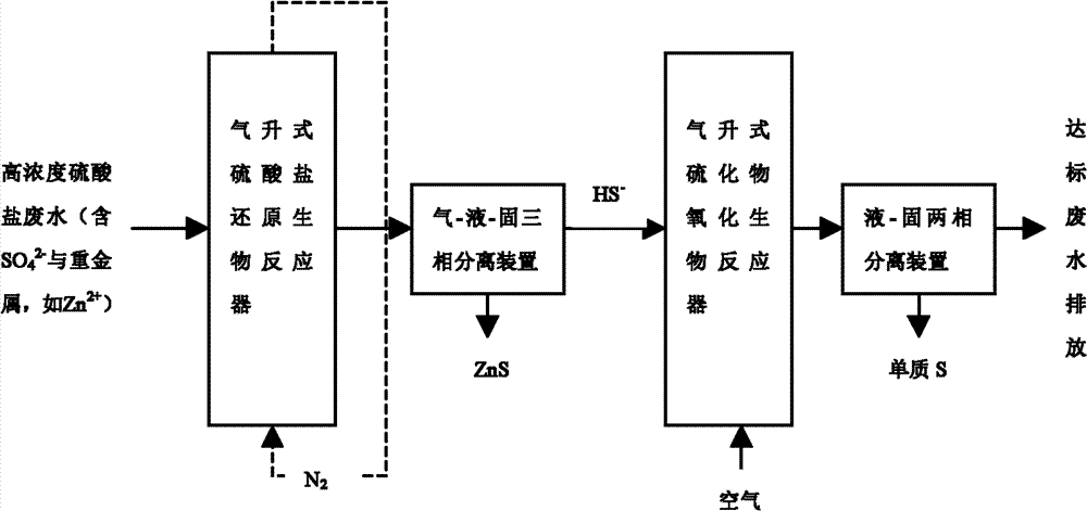 Sulfate reducing Citrobacter sp.strain HCSR and use thereof