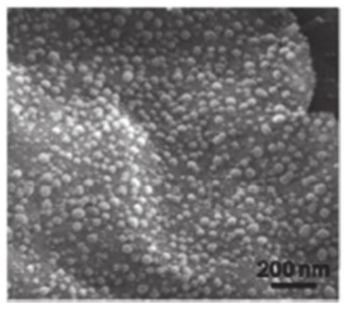 A graphene/silicon carbide nanowire composite structure thermal interface material