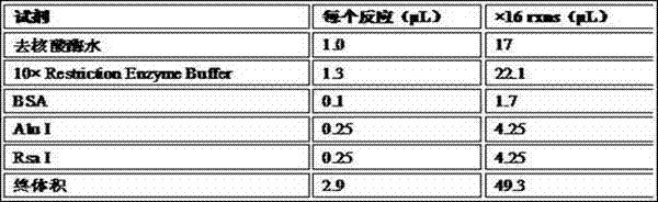 Gene chip for detecting alpha-thalassemia, using method thereof and kit with same