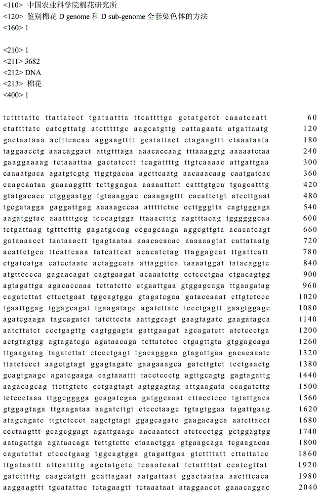 A method for identifying the complete set of chromosomes of cotton d genome and D sub-genome