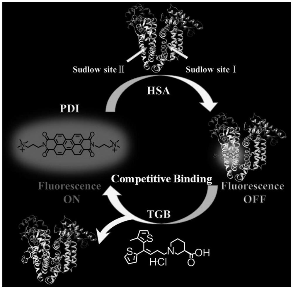 Fluorescence detection method of antiepileptic drug --- tiagabine hydrochloride (tgb)