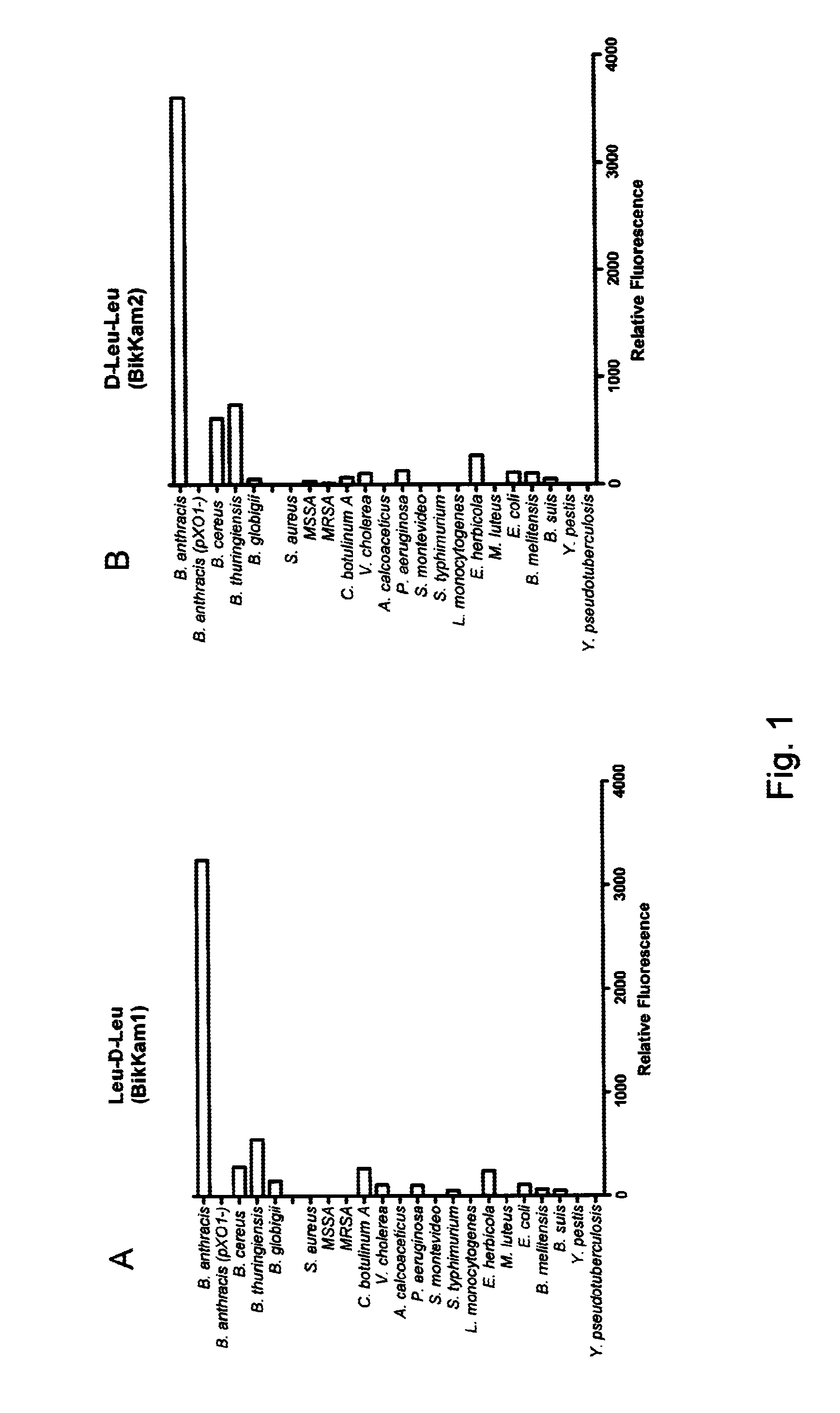 Rapid FRET-based diagnosis of bacterial pathogens