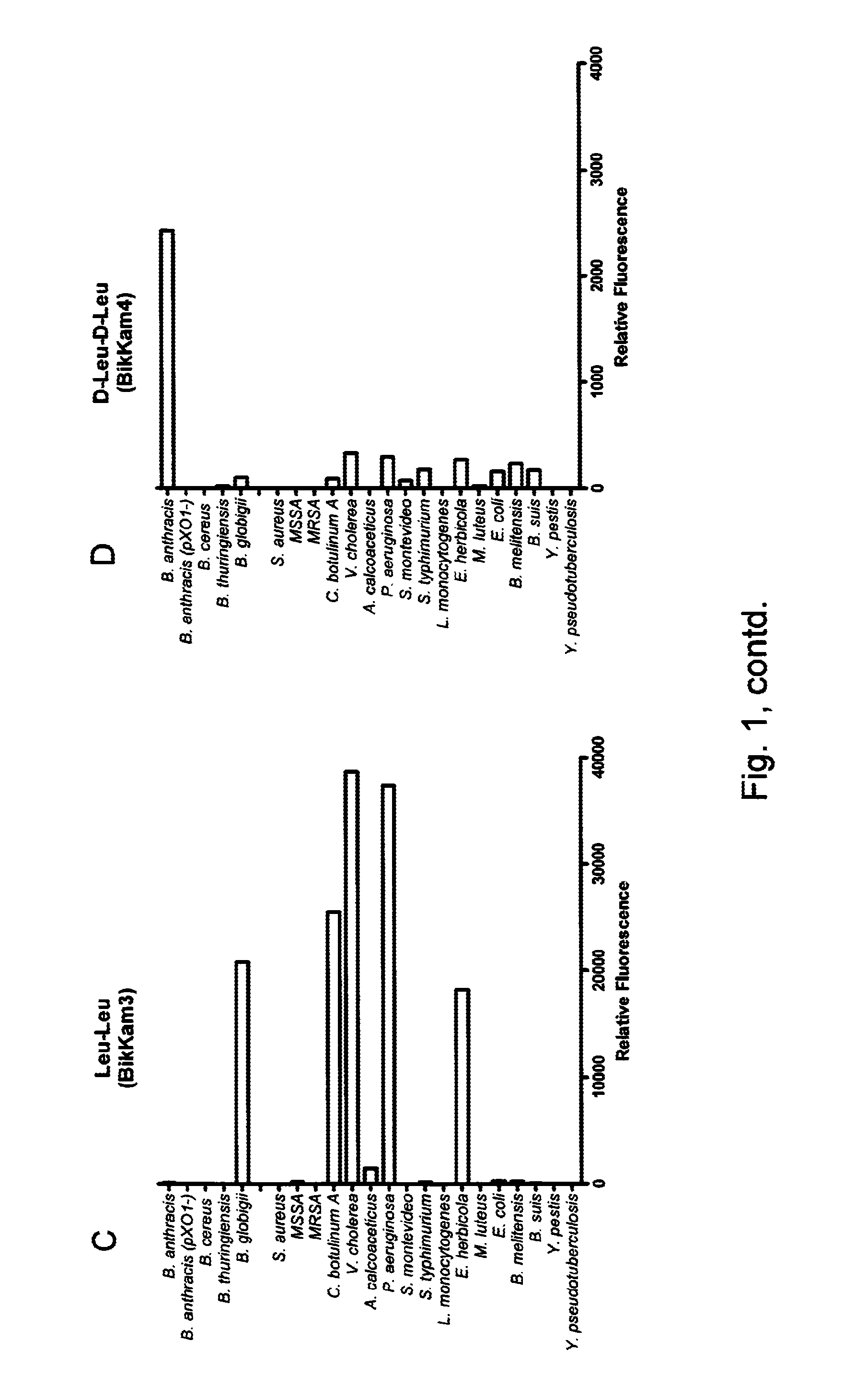 Rapid FRET-based diagnosis of bacterial pathogens