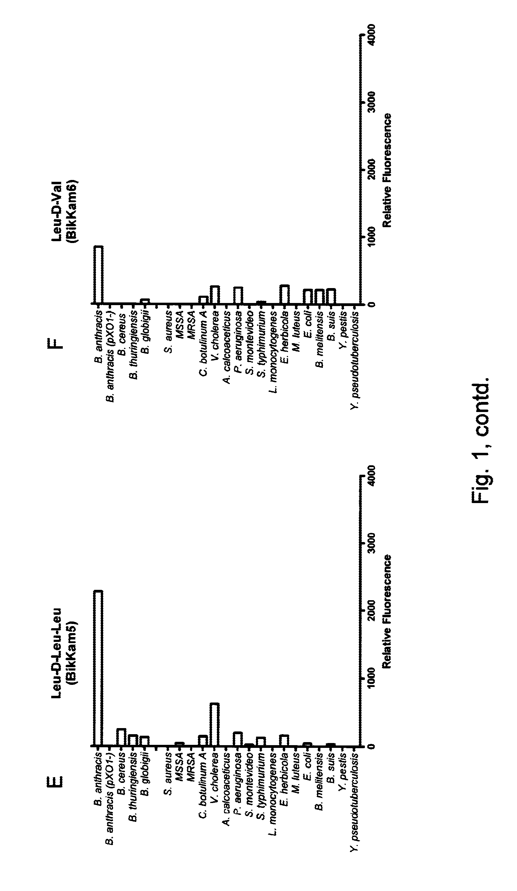 Rapid FRET-based diagnosis of bacterial pathogens