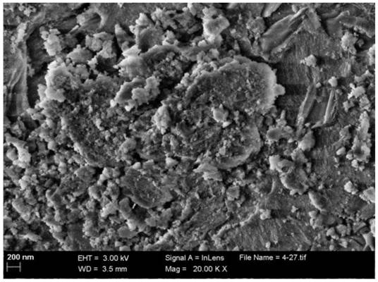 A kind of biporous nickel-based catalyst, its preparation method and its application in methane carbon dioxide reforming reaction