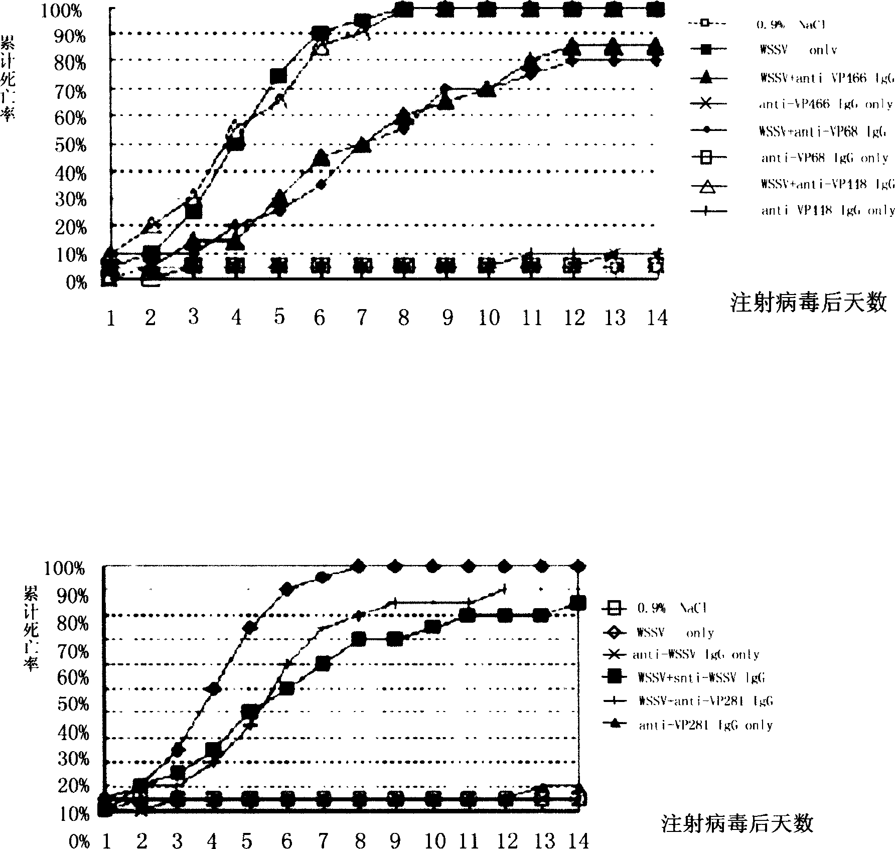 Prawn white-spots syndrom virus (WSSV) membrane protein and its antibody