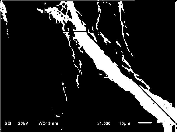 Preparation method of three-dimensional porous graphene