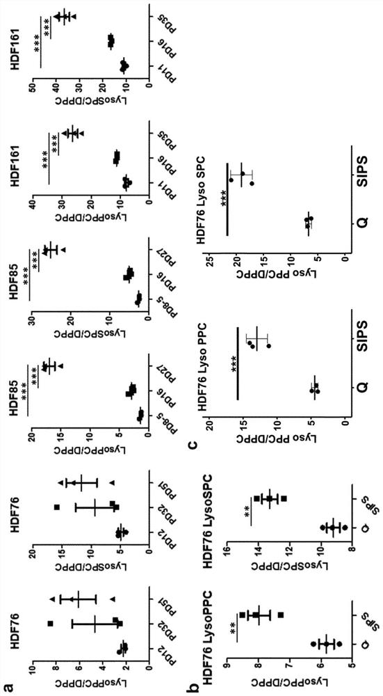 Compositions for elimination of senescent cells