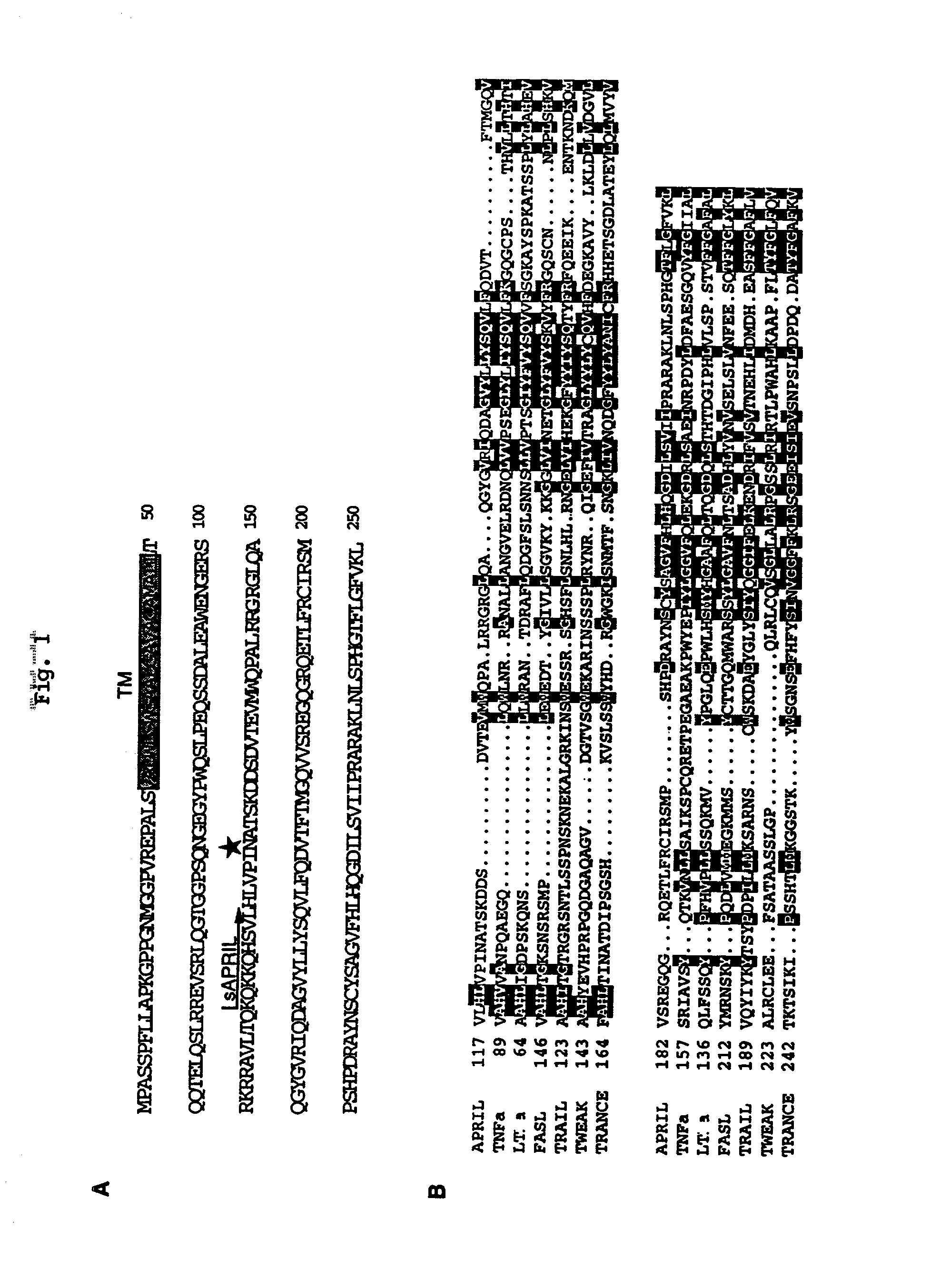 APRIL- a novel protein with growth effects