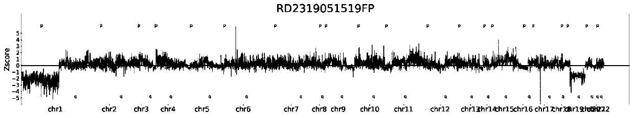 Chromosome aneuploidy analysis method and chromosome aneuploidy analysis system