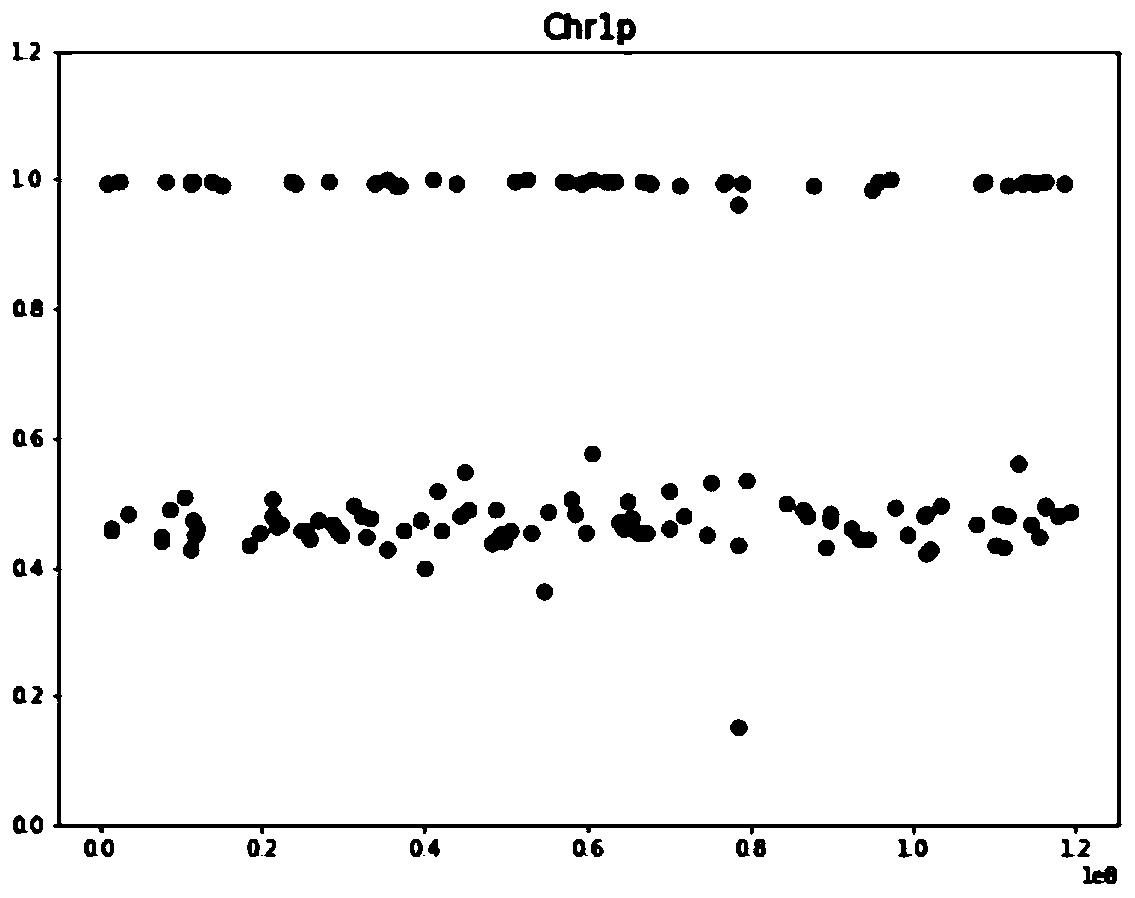 Chromosome aneuploidy analysis method and chromosome aneuploidy analysis system