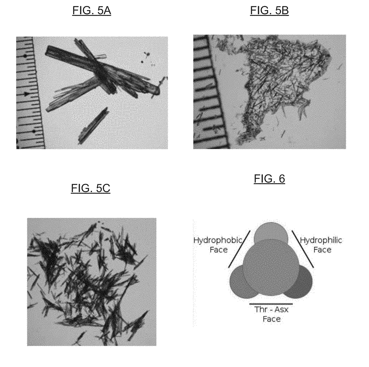 Compositions and method for stabilizing a pharmaceutical formulation, and methods of making and using the same