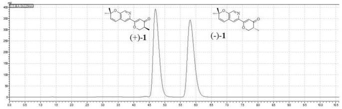 Styela plicata-derived fungus and application thereof