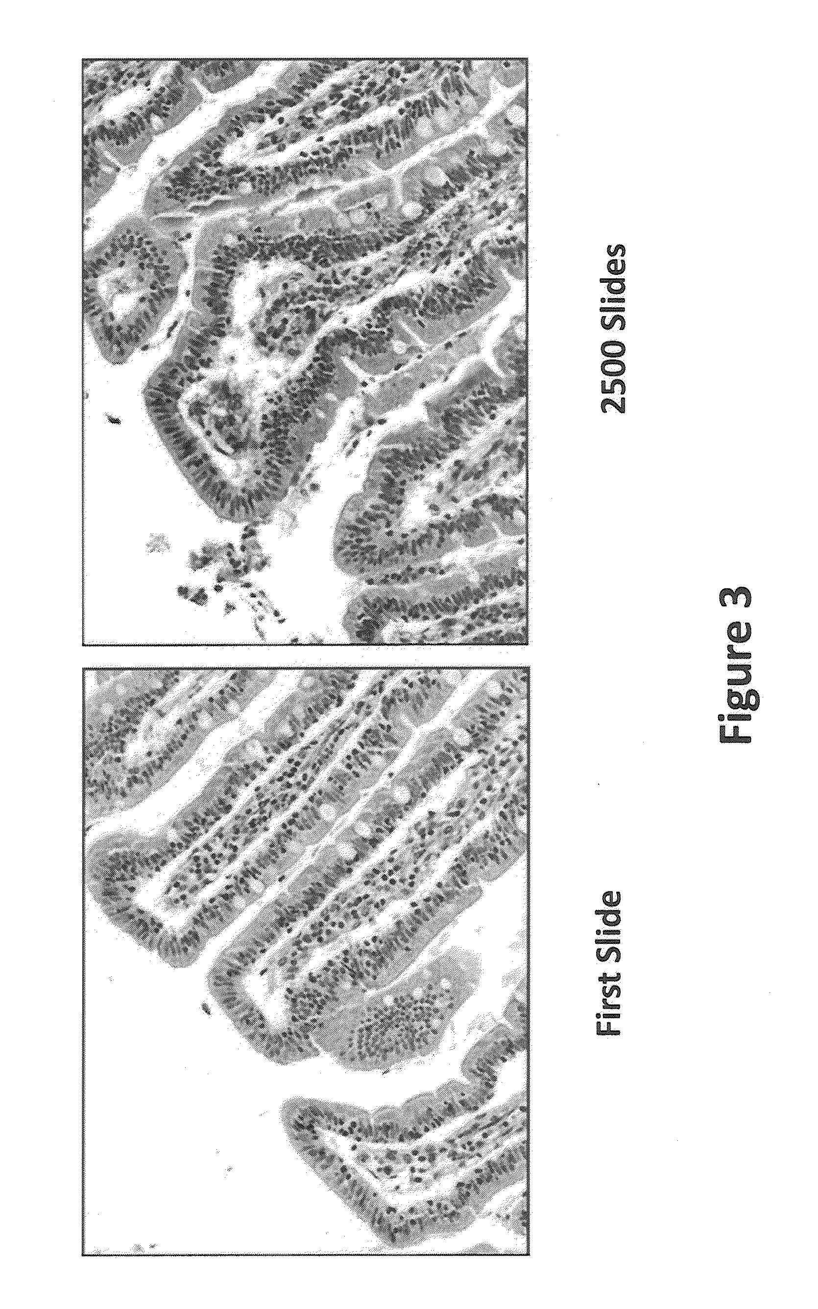 Methods and Compositions for Hematoxylin and Eosin Staining