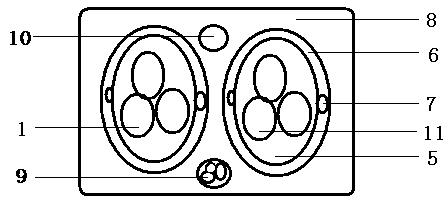 Electrically-induced light-emitting line with arrow direction indication function